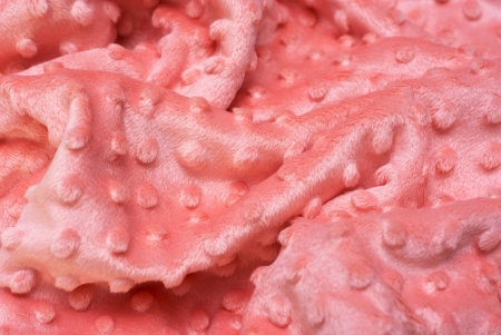 MINKY - PEACH CORAL
